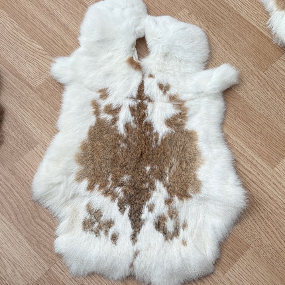 #A40 rabbit pelt